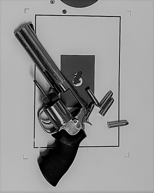 Revolver_2022_sw